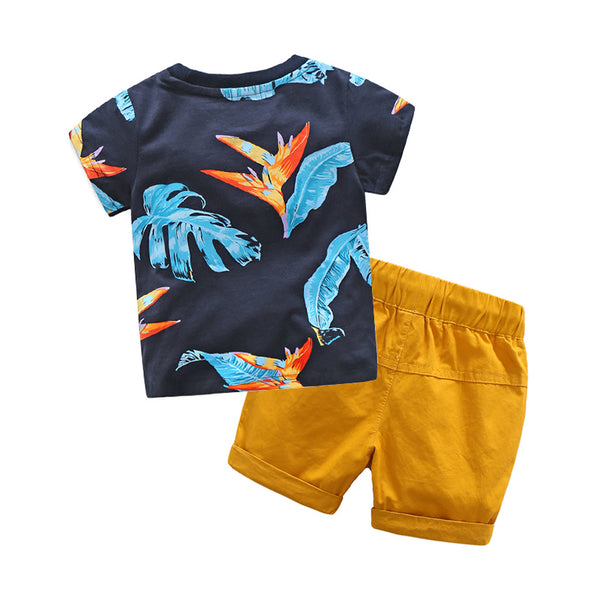 Noah Summer set